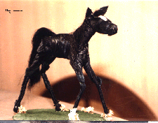cornshuck black horse